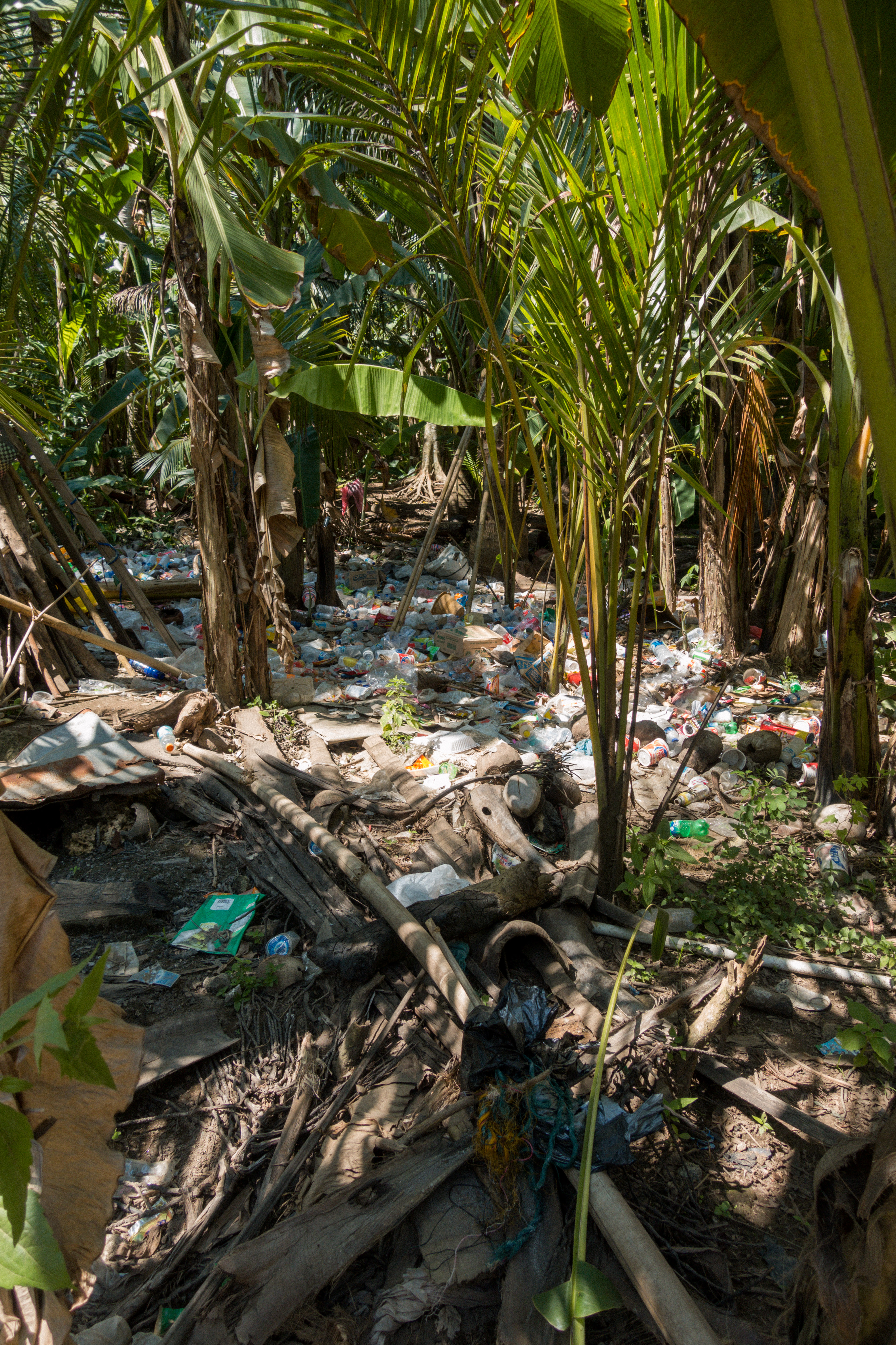 Plastic pollution in Southeast Asia