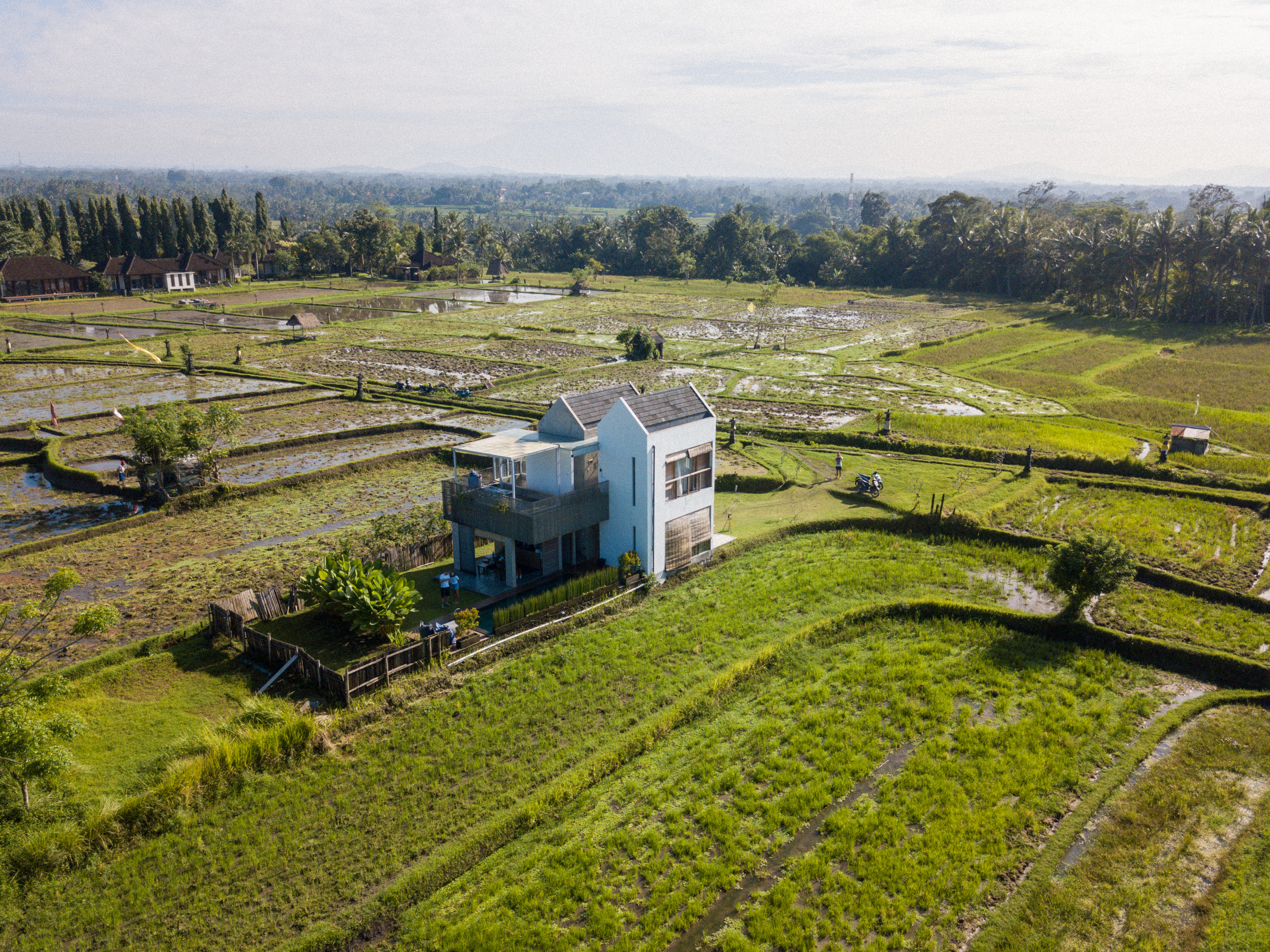 Best Airbnb Stay in Ubud surrounded by ricefields