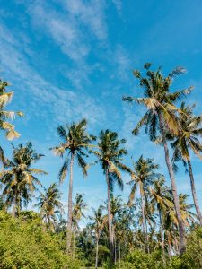 Gili Meno Guide, where to stay, where to eat and what to do - find out here.